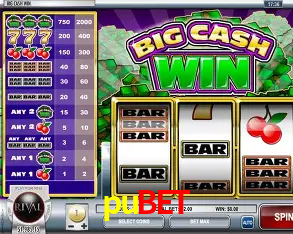 Descubra o Mundo do Cassino Online com pubet